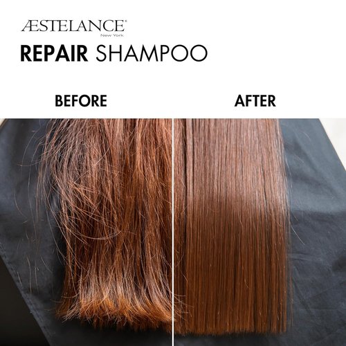 Skiennix Repair Shampoo - Nourishes Damaged Hair & Restores Brittle Strands | 8 Fl. Oz