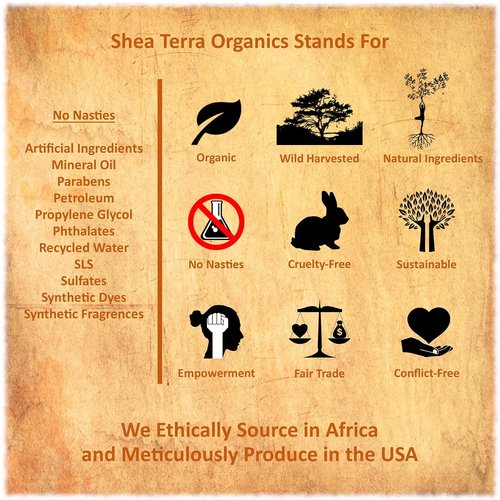 Shea Terra Organics Shea Nilotik’ Oil - Fragrance-Free Daily Moisturizer for Sensitive Skin | 8 oz