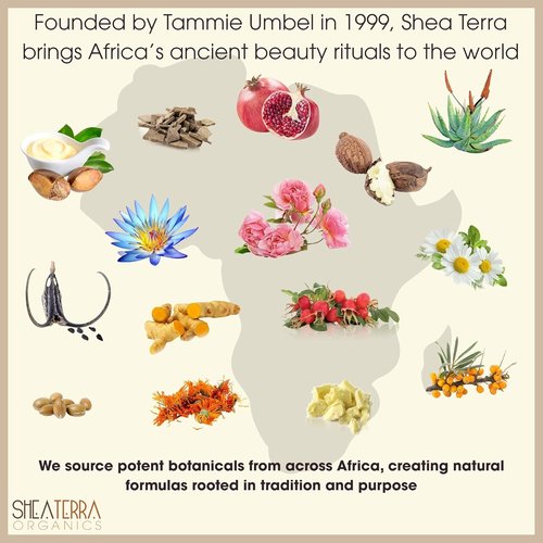 Shea Terra Organics Shea Nilotik’ Oil | Natural Lavender Scented Skin Moisturizer & Conditioner – 8 oz