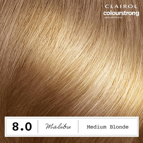 Clairol ColorStrong Permanent Hair Dye - Ammonia-Free, 100% Gray Coverage, 8.0 Medium Blonde | Pack of 1