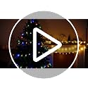 50 LED Globe String Lights with Timer & 8 Modes - Battery Operated Indoor Outdoor Decor
