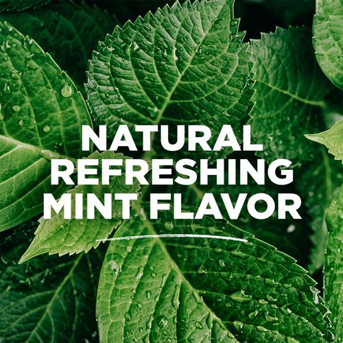 Tom's of Maine Sea Salt Natural Alcohol-Free Mouthwash, Refreshing Mint, 16 Fl Oz (Pack of 3)