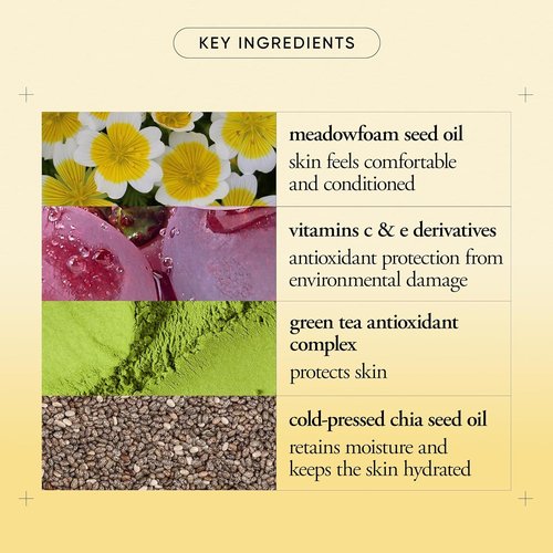 Philosophy Purity Made Simple Pore Face Moisturizer - Ultra-Light Hydration with Vitamins C & E, Green Tea, Chia Seed Oil