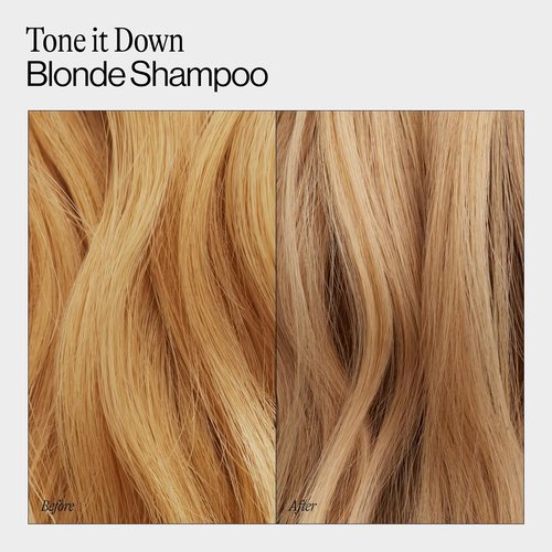 Eva NYC Purple Shampoo - Gentle Anti-Brass Formula for Blonde, Gray & Lightened Hair - 10 fl oz