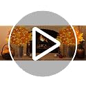 Orange 3-Piece Lighted Maple Branches with Timer - Fall Autumn Decor