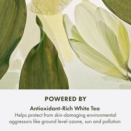 Origins A Perfect World Antioxidant Serum - Youthful Skin Formula with White Tea | 1.7 Fl Oz
