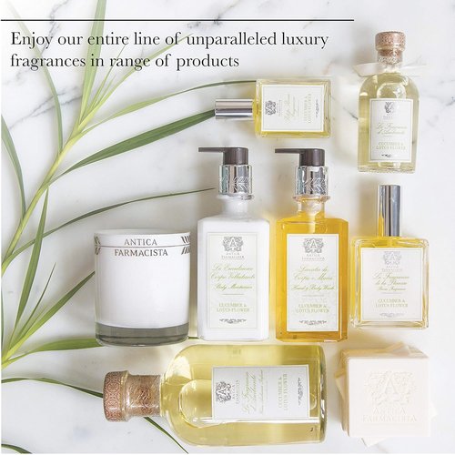 Antica Farmacista Hand & Body Wash - Luxury Hydrating Body Cleanser - Grapefruit Scent, 10 fl oz