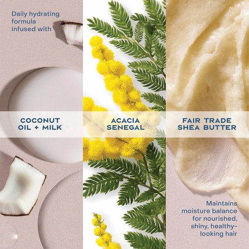 Shea Moisture Daily Hydration Shampoo - Virgin Coconut Oil, Sulfate-Free for All Hair Types | 13 oz