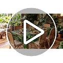 Rainforest Jungle Party Tablecloth Roll - 1200 x 54 Inches, Green Tropical Design