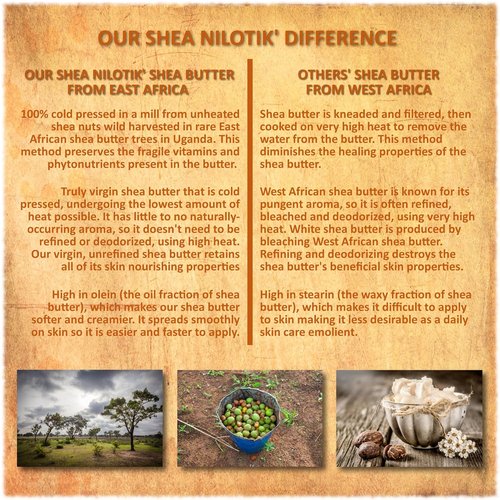 Shea Terra Organics Shea Nilotik’ Oil - Fragrance-Free Daily Moisturizer for Sensitive Skin | 8 oz