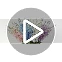 Pink Artificial Delphinium Flowers 34 Inch Tall Faux Silk Flower Stems for Home Wedding Decor - Set of 4