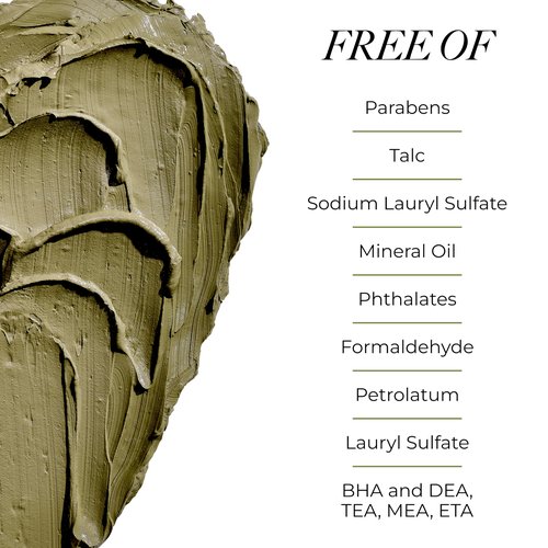 Borghese Advanced Fango Active Mud Mask for Face and Body - Exfoliating to Purifying Face Mask with Bentonite Clay & Hyaluronic Acid For Normal, Combination & Oily Skin, 2.7 Ounce - Tube