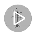 Lighted Halloween Tree with Ghosts and LED Lights, 8ft Spooky Garden Decor