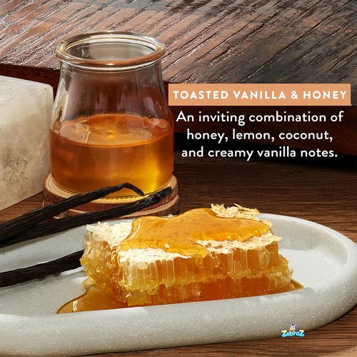 Native Toasted Vanilla & Honey Shampoo & Conditioner Set - Nourishing 8.25 Oz | Gold