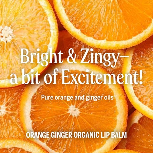 Dr. Bronner’s Organic Lip Balm - Natural, Moisturizing & Petroleum-Free | 6-Pack (.15oz) - Orange Ginger