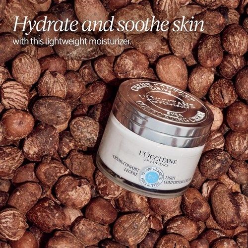 L'OCCITANE 5% Organic Shea Butter Face Cream - Lightweight, Hydrating & Soothing for Sensitive Skin | Vegan & Non-Comedogenic