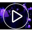 Halloween Black Maple Garland with Purple LED Lights Skeleton & Skull - Veiled Ghost Cobweb Maple