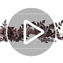 Artificial Plum Garland 6Ft - Fall Decorative Vines for Mantel and Centerpieces - Pack of 2