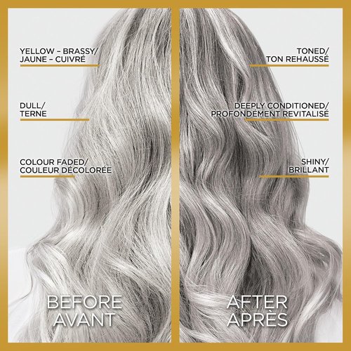 L’Oreal Paris Le Color Gloss - One Step In-Shower Toning Hair Gloss, Neutralizes Brass & Boosts Shine, Silver, 4 Oz