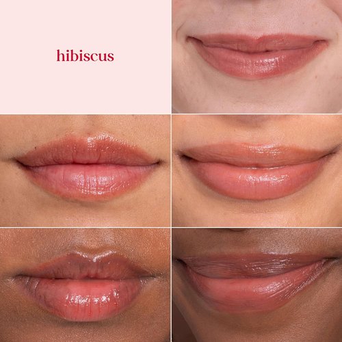 Burt's Bees Lip Tint Balm - Long-Lasting Hydrating Formula with Shea Butter | Hibiscus, 1 Tube