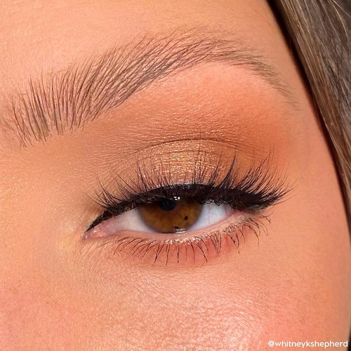 ColourPop Eyeshadow Palette - High-Pigment Eye Makeup with Matte, Metallic & Glitter Finishes - Bare Necessities (0.04 oz)