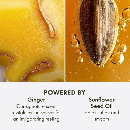 Origins Ginger Hand & Body Lotion - Hydrates & Softens Dry Skin with Vitamin E & Aloe Vera