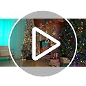 Incandescent Christmas Tree Light Replacement Bulbs 2.5V 0.425W Pack of 100