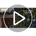 Christmas Ornaments Set 120pcs Holiday Tree Decorations with Peacock Theme