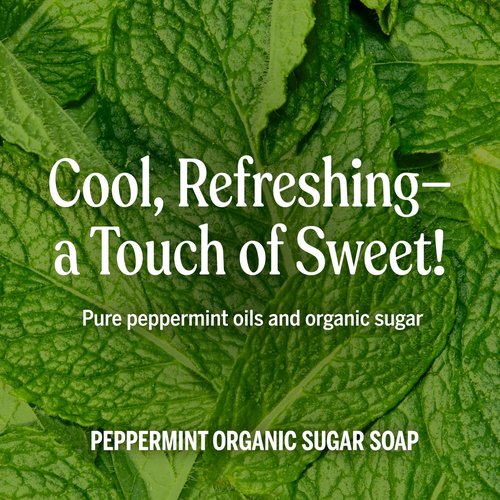 Dr. Bronner's - Organic Sugar Soap (Peppermint, 24 Ounce) - Made with Organic Oils, Sugar & Shikakai Powder, 4-in-1 Uses: Hands, Body, Face & Hair, Cleanses, Moisturizes & Nourishes, Vegan
