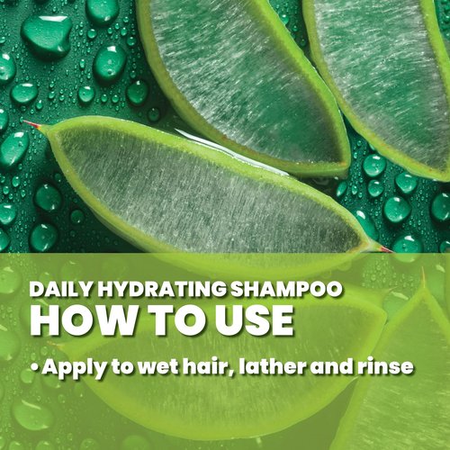 GREAT CLIPS LATITUDE Daily Hydrating Shampoo | Men's Shampoo that Promotes Full + Healthy Hair | For All Hair Types | 32oz | Packaging May Vary