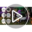 Halloween Inflatable 5FT Skeleton Dachshund Dog Decoration with LED Lights - Spooky Yard Display