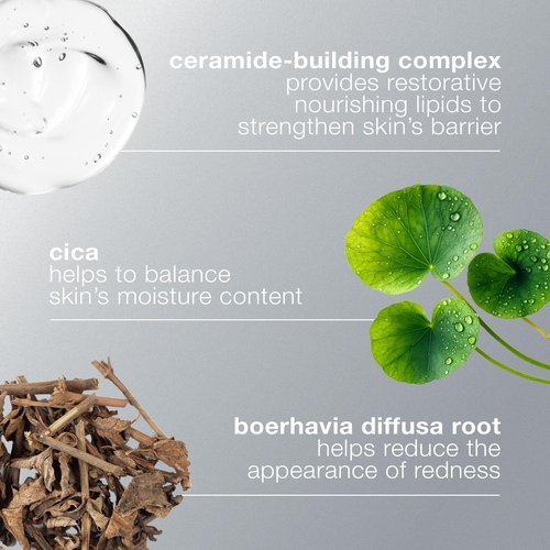 Dermalogica Stabilizing Repair Cream, Face Moisturizer for Sensitive Skin with Cica - Strengthens, Soothes, and Repairs Skin Barrier, 3.4 fl oz