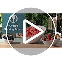 Clear Angled Plastic Serving Bowls - 8oz Small Pack of 5 for Parties - Variation: Clear / Small 8 OZ