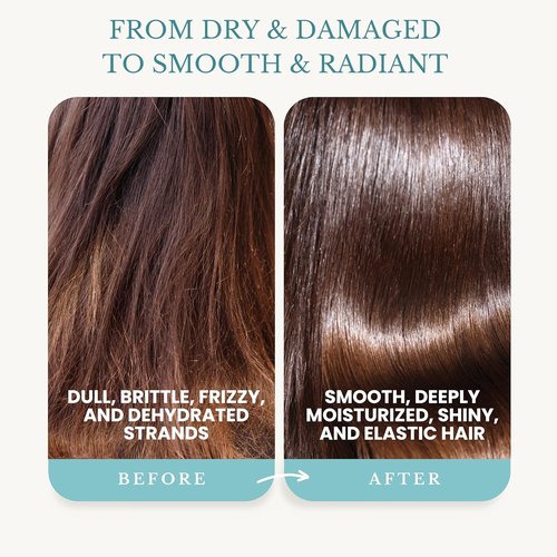 Edenika Botanicals Argan Oil Conditioner - Restorative & Smoothing Formula | 16 fl oz, Vegan & Sulfate-Free