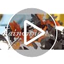 Black Rose & Maple Leaf Garland Set - Blue Gray Vines, 2 Pcs