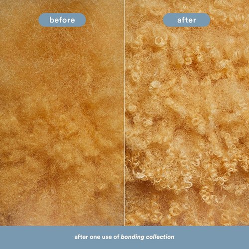 VERB Bonding Shampoo - Strengthens Hair, Repairs Damage | 12 oz Hydrating Formula