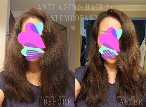 Stem Cell Shampoo for Fine and Thinning-Looking Hair — Super Glossy, Color-Safe, Natural Formula with Caffeine, Peptides, and Plant Stem Cells
