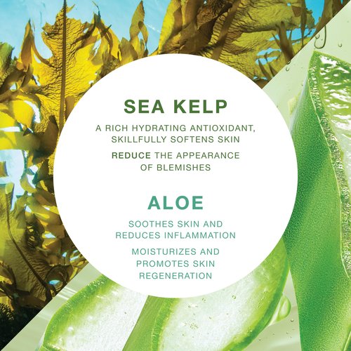 Moisturizing & Healing Body Wash with Sea Kelp & Aloe Vera – Hydrating Cleanser for Dry Skin – Vitamin-Enriched Shower Gel – 33.8 fl oz