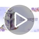 Purple Butterfly Cupcake Stand 3-Tier Party Dessert Tower - Variation of THIS listing