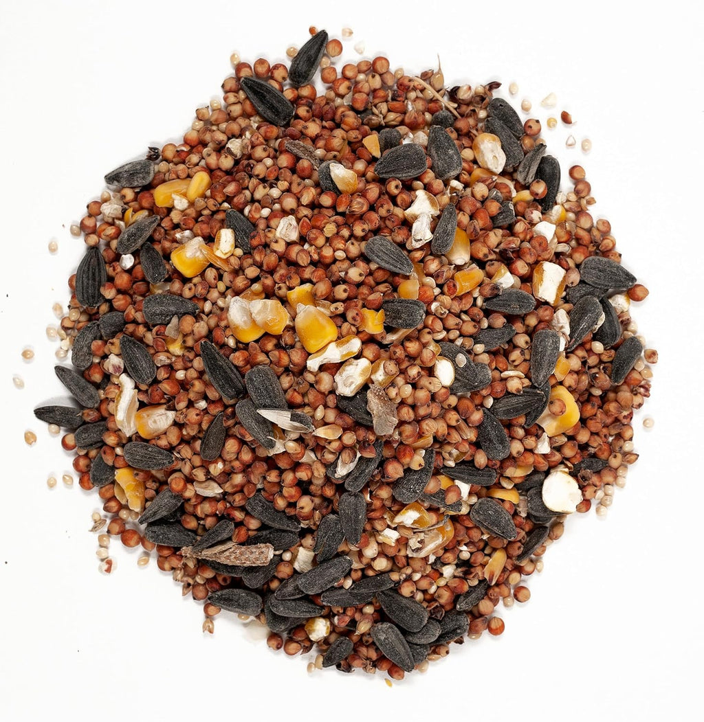 Wagner's 53002 Wild Bird Food - Farmer's Delight with Cherry Flavor | 10-Pound Bag