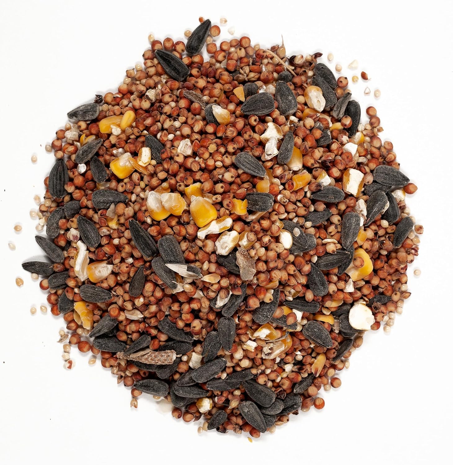 Wagner's 53002 Wild Bird Food - Farmer's Delight with Cherry Flavor | 10-Pound Bag