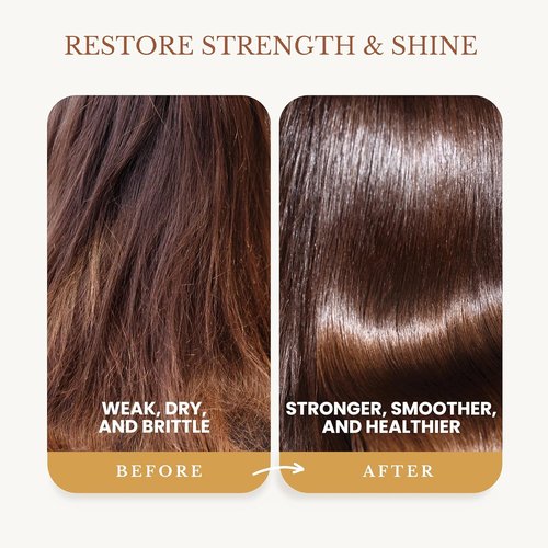 Edenika Botanicals Ginger Root Shampoo - Fortifying Biotin Formula for Hair Regrowth | 16 fl oz