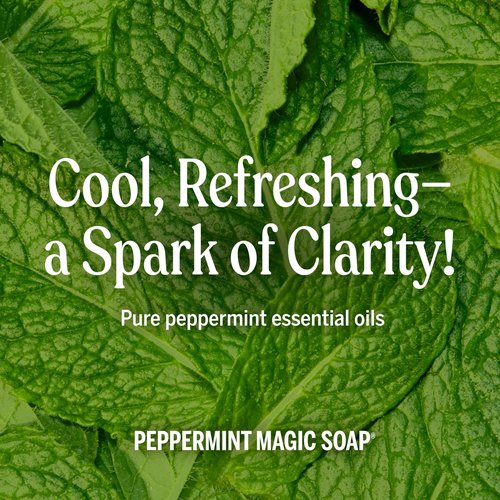 Dr. Bronner's Magic Soap-Pure-Castile Liquid Soap (Peppermint, 16 ounce, 2-Pack)-Regenerative Organic Certified Oils, 18-in-1 Uses: Body, Hair, Laundry, Pets & Dishes, Concentrated, Vegan, Non-GMO