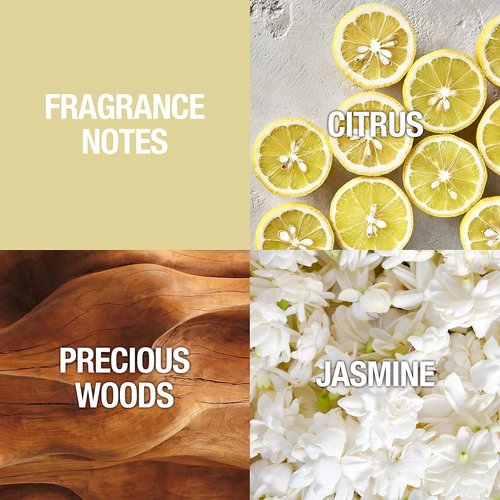 Alfred Sung Eau De Toilette Spray - Elegant Women's Perfume | 3.4 Fl Oz Bottle