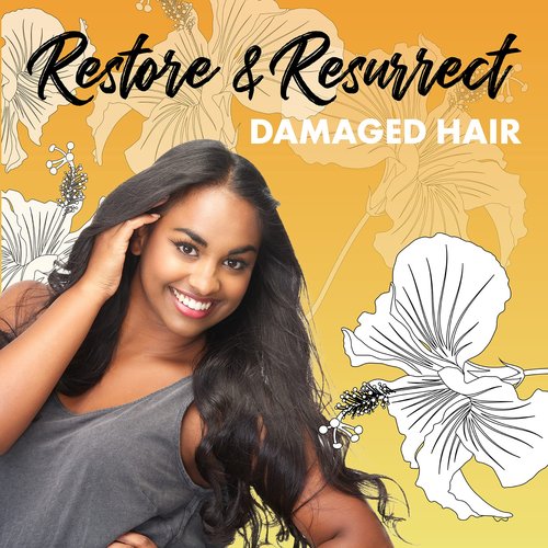 Paul Brown Hawaii Resurrect Salon Quality Conditioner | Hydrate & Treat Damaged Hair | Antioxidant-Rich Kukui Nut Oil for Ultimate Hair Moisturization | Safe for Color Treated Hair (33 oz.)