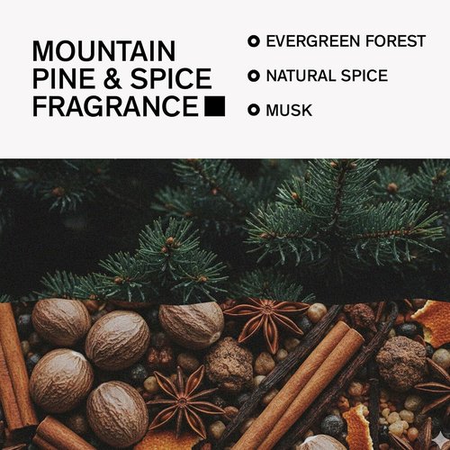 Bravo Sierra Aluminum-Free Deodorant for Men - Natural Ingredients for All-Day Odor & Sweat Protection | Mountain Pine & Spice, 3.2 oz - Paraben & Cruelty-Free, Vegan