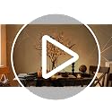 Lighted Halloween Tree Branches with Timer - 21 Inch Black Twig with Orange Fairy Lights