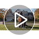 Halloween Dinosaur Pumpkin Inflatable Decoration - 6ft Horror Outdoor Decor - Dinosaur Pumpkin Variation