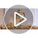 White 22-Inch Collapsible Fall Wreath with Pumpkins and Lights for Front Door