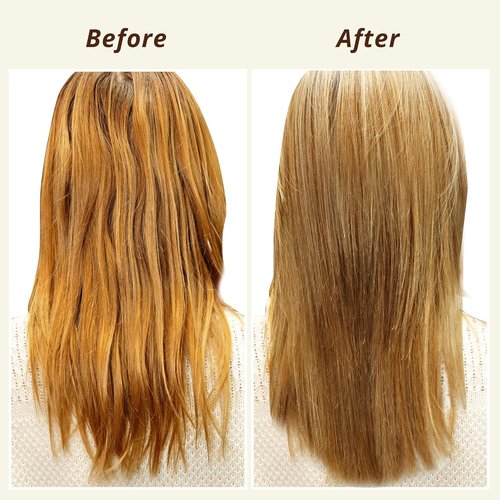 Skiennix Leave-In Hair Oil - Lightweight Hydration with Jojoba & Argan Oils, 3.4 fl oz | Smooth Shine & Frizz Control